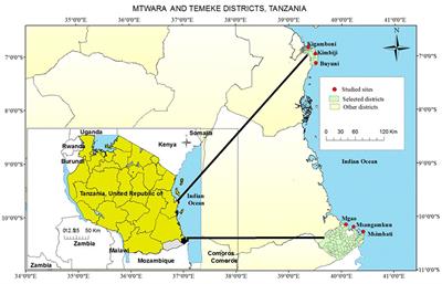 Fishers' Perceptions of the Recurrence of Dynamite-Fishing Practices on the Coast of Tanzania